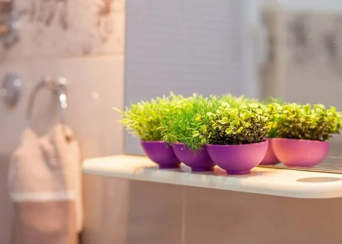 Βίλα Lipovac Τρογκίρ